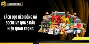 Cách Đọc Kèo Bóng Đá Socolive Qua 5 Dấu Hiệu Quan Trọng