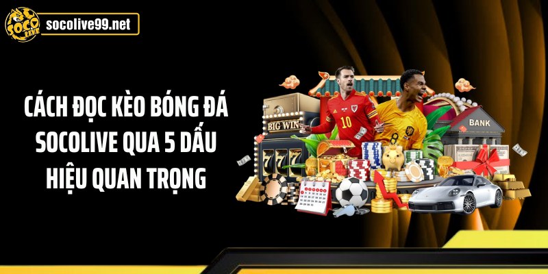 Cách Đọc Kèo Bóng Đá Socolive Qua 5 Dấu Hiệu Quan Trọng